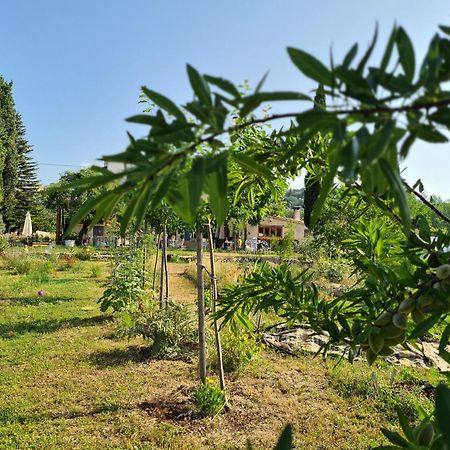 La Ferme Constantin Fayence Exterior foto