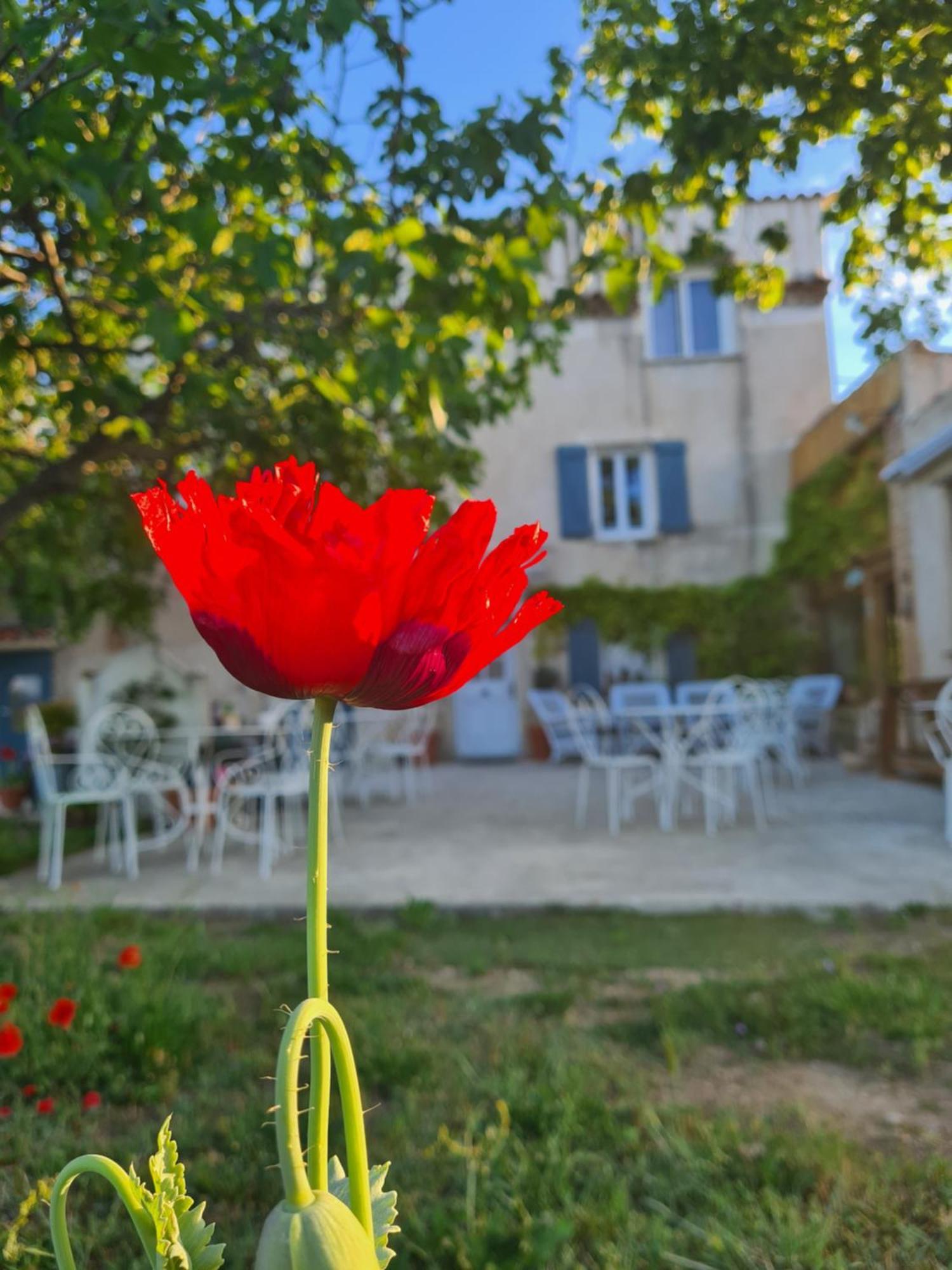 La Ferme Constantin Fayence Quarto foto
