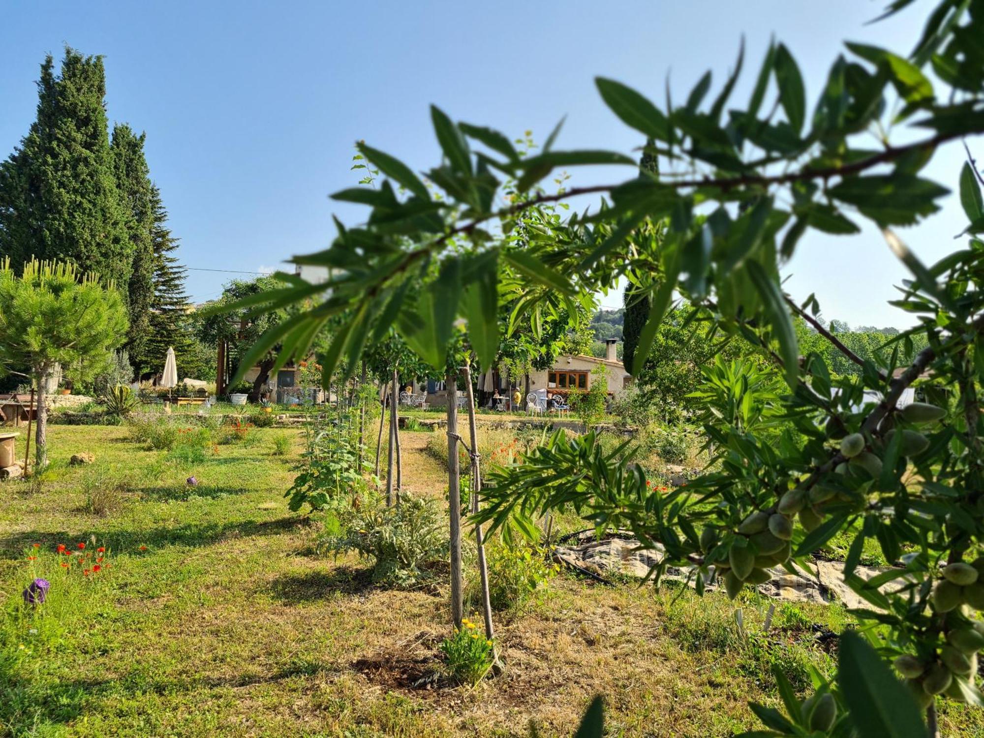 La Ferme Constantin Fayence Exterior foto