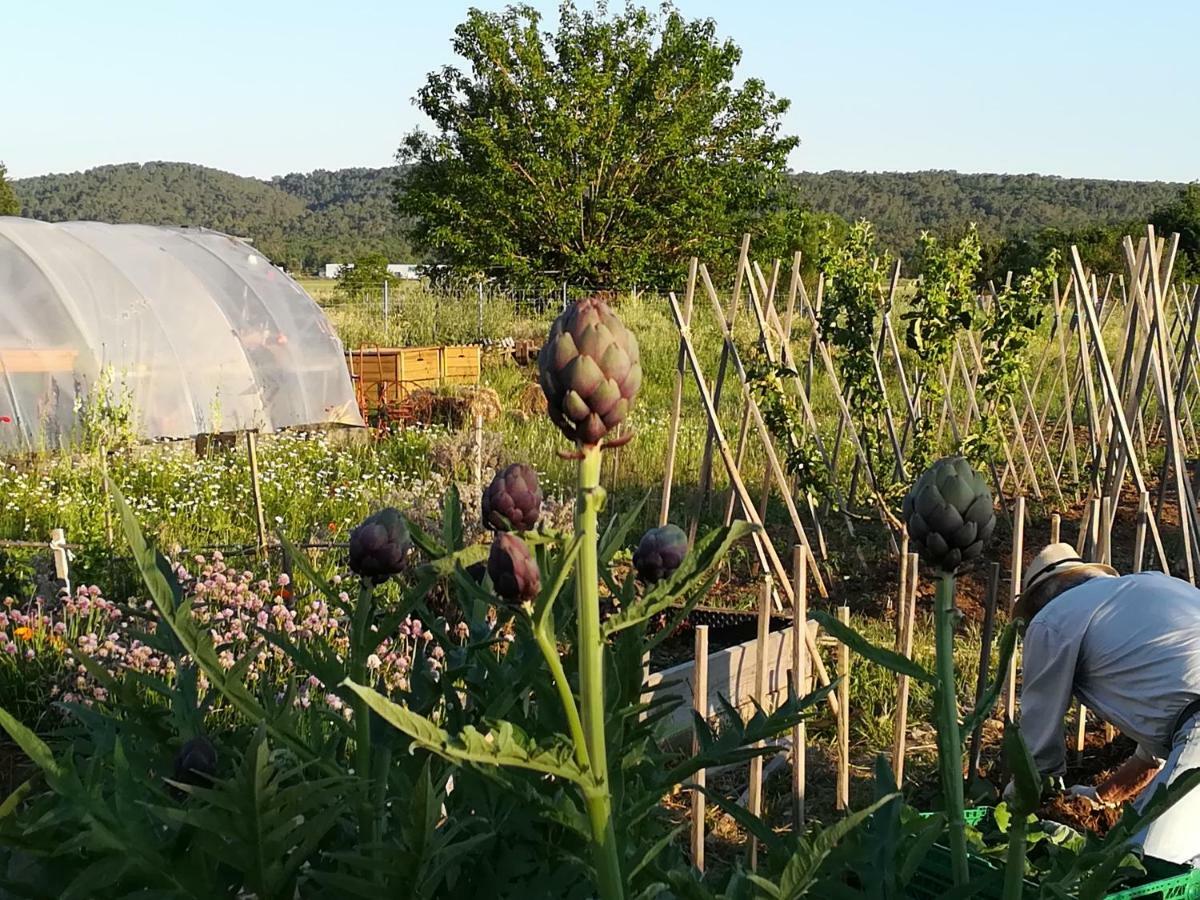 La Ferme Constantin Fayence Exterior foto